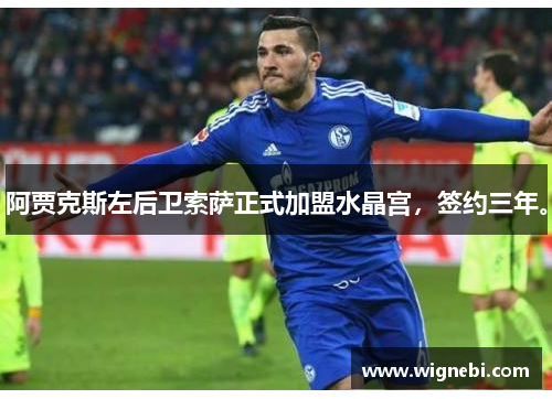 阿贾克斯左后卫索萨正式加盟水晶宫，签约三年。